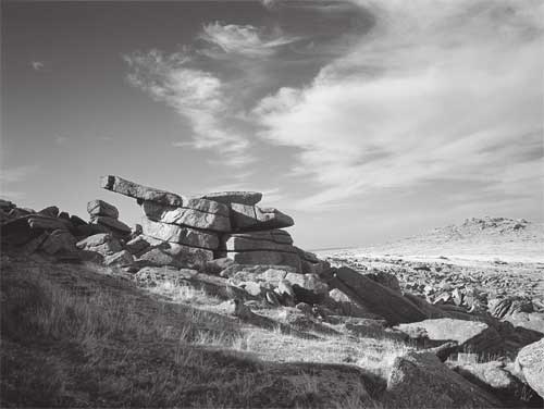 on Great Staple Tor